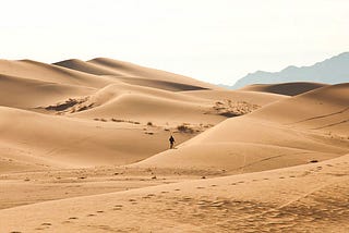 A solo traveller in a vast desert