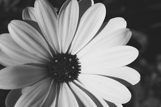 On Poetry, a Warm Homeland