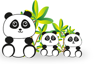 From Pandas to Hello Panda to Food Panda!