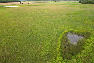 Record year for permanent conservation in Mower