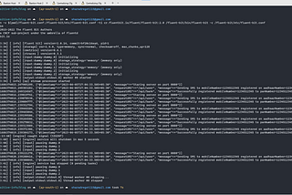 Guide: How to Mask Sensitive Information Using Fluent Bit