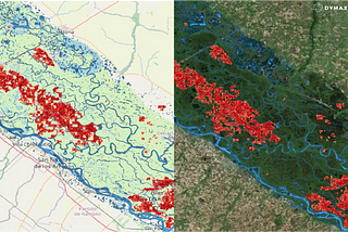 INCENDIOS EN EL DELTA DEL PARANÁ