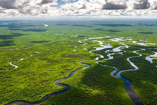 The Everglades Restoration Crisis