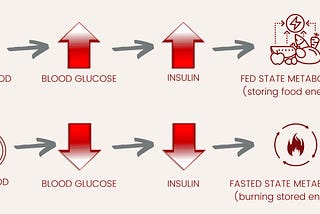 The Fed and the Fasted State