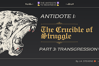 The Antidote to Weakness I: The Crucible of Struggle