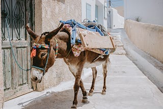 Dolmas, Donkeys, and Yiayas — Musings on Childhood Summers in Cyprus