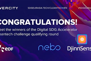 Meet the winners of the Digital SDG Accelerator cleantech challenge qualifying round