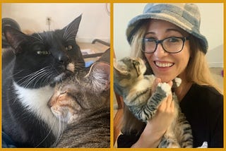 Split image. Left side: Two cats cuddling — one black-and-white tuxedo cat (Mickey) with calm eyes, and one brown tabby (Callie) resting her head against him with her eyes closed. Right side: A smiling woman wearing glasses and a blue bucket hat holds a small tabby cat in her arms. The cat looks up at her affectionately.