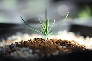 The Entrepreneur’s Blueprint — 31 Resolutions for Small Business Success