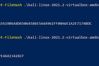 Secure Downloads + Data Integrity