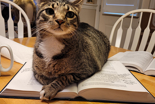 Cat smuggly sitting on textbook.