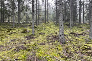 Understanding Nature-Based Investments