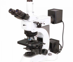 Upright Metallurgical microscopes