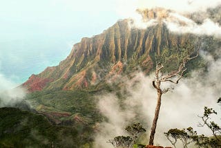 Look, the earth is breathing