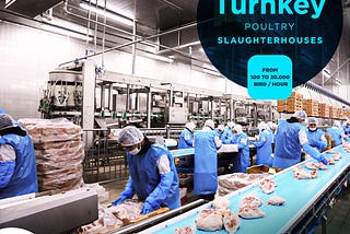 Turnkey Poultry Slaughterhouse