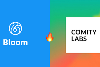 Bloom Sponsor Feature: Comity Labs