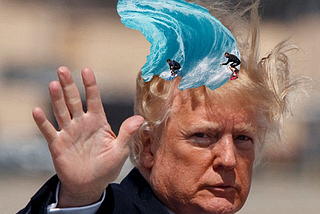 Ten Dumb Jokes About Donald Trump’s Hair from those Insane Photos Taken Yesterday