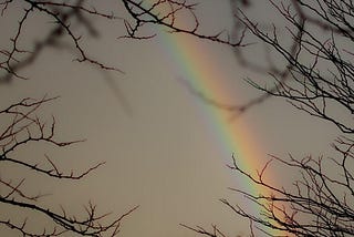 Cover of In the Shadow of rainbows, a poetry book by Selma Martin. Cover design by Ingrid Wilson. Cover photograph by Kathryn A. LeRoy