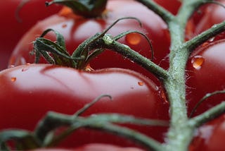 Productivity While Quarantined: The Pomodoro Technique