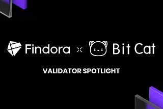 💡Findora Validator Spotlight💡: Bit Cat