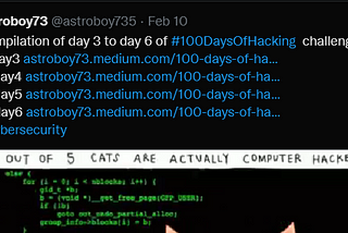 100 Days of Hacking — Day 7