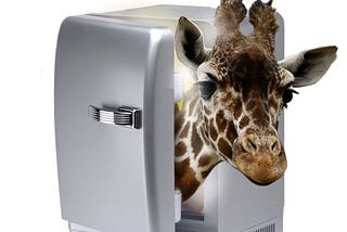 How to wow at interview…and fit a giraffe in a fridge…