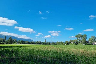 Seasons time-lapse — the video