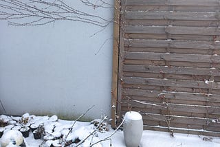 Into the blizzard, my garden’s colours disappeared