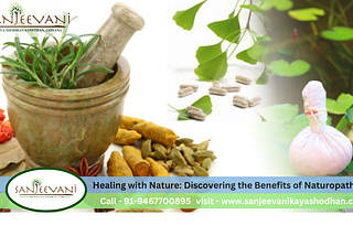 Healing with Nature: Discovering the Benefits of Naturopathy