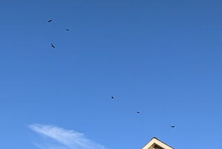 a picture of the sky over my house — 6 large birds are seen in the distance