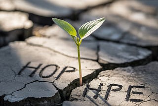 “Personal Growth Habits That Make High Performers Unstoppable”