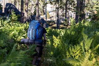 Backpacking Yosemite — Preparations