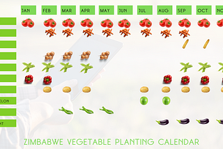 Zimbabwe Vegetable Farming Calendar