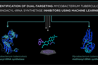 Identification of dual-targeting Mycobacterium tuberculosis aminoacyl-tRNA synthetase inhibitors…