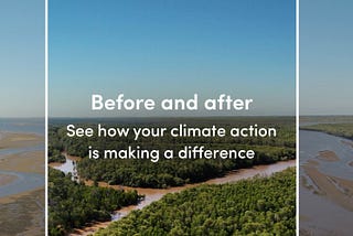Central Tickets’ Commitment to Responsible Carbon Investment: Addressing Concerns About…