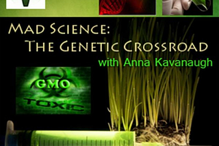 Writer Anna Kavanaugh commissioned to publish Third Edition Companion Guides Based on Original…
