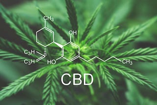 CBD OIL