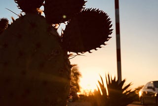 Go on an architecture tour and appreciate desert landscape