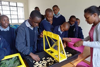Solar powers novel dryer for preserving crops