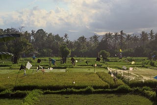 Gentrification and Debauchery? Bali Through the Lens and the Stories Behind the Photos