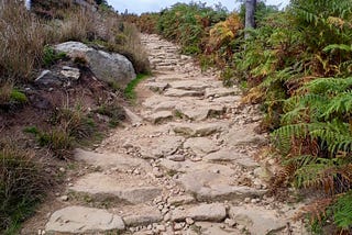 Rough Road