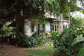 TokNenek Home Away, Photo by SEEDS Malaysia — Seedling Pod and Working Office, Bamboo Tree Shade — A Forgotten Land Transform by Nature Into a Mini Food Forest