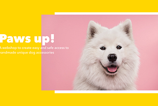 Paws up! A webshop to create easy and safe access to handmade unique dog accessories