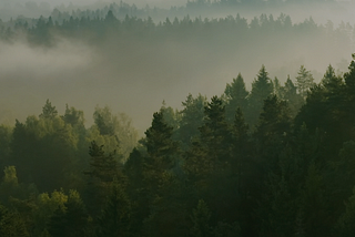 Why am I building another climate-focused software company?