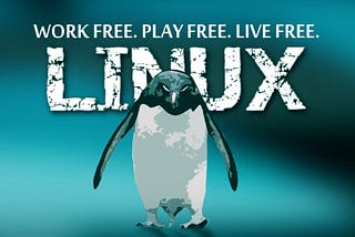 The Complete Guide to add user to linux server