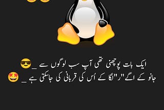 jokes funny poetry in urdu for friends copy paste -ninety9poetry