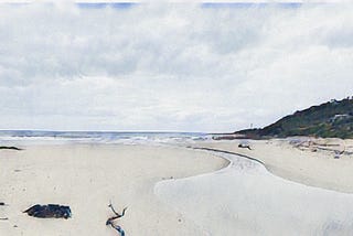 A wide beach of pale sand: a creek snakes across it towards the distant surf. To the right a rounded, dark headland. In the foreground, a tree branch and other debris.