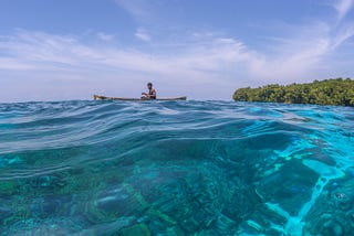 Delivering on Blue Finance: What’s Working and What Needs to Scale