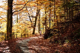 La cinta de correr por montaña