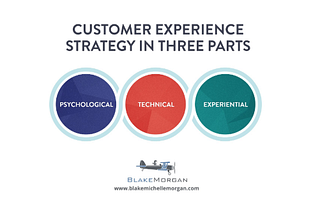 The Customer Of The Future: The Psychological, Technical, and Experiential Strategies